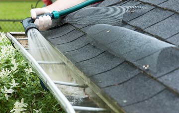 Whale gutter cleaning costs