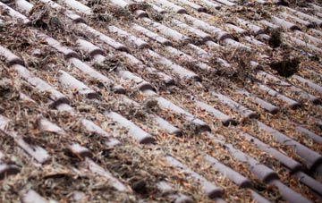 Whale roof cleaning companies