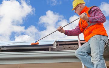 Whale soft wash roof cleaning