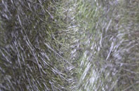 Whale fibreglass roof work